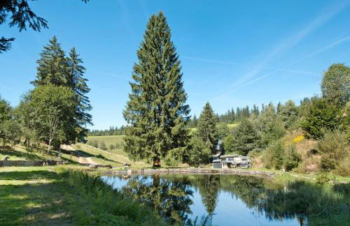 Grundhäusle Gütenbach - Foto 29