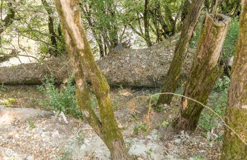 Myrtali's - Tzoumerka Mountain View Retreat - Foto 42