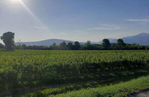 CASETTA MIRAVIGNA cozy flat with garden in Franciacorta & Iseo Lake - Foto 38