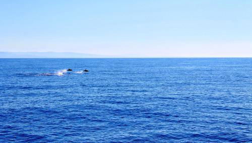 Dimora Mimosa - Baia Delle Mimose - Foto 5