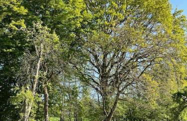 Wassermühle Triglitz - Alleinlage für Retreats, Workshops, Family & Friends - Foto 61