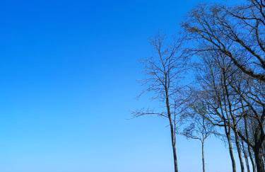 Zalotna Mewa Gąski - Photo 38