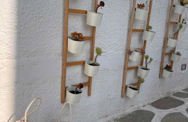 Marioly Studios - Foto 10