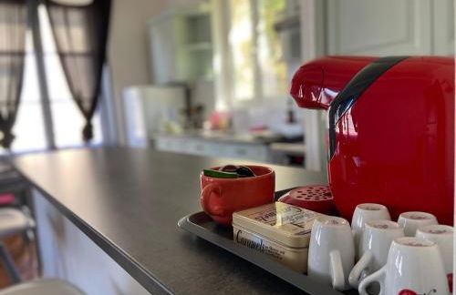 Beaugency-2 sur la route des châteaux - Photo 7