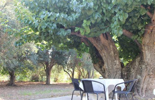 Sea Breeze - Foto 27