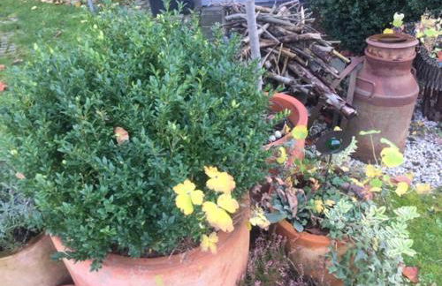 Lieblingsnest Detmold - Foto 57