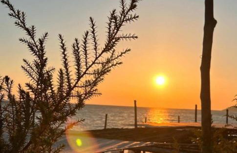 Liberty Homes ,Ai Gordis Notou - Foto 55