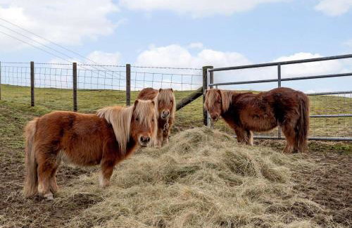 4 Bed in Newtown oc-86784 - Foto 24