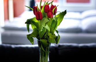 Ferienwohnungen direkt am Werbellinsee - Photo 19