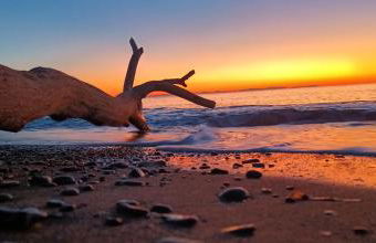 Residence Le Rose - Photo 49