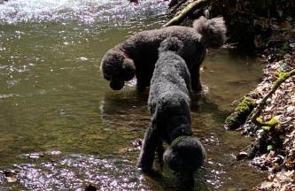 Apartment Taunustraum by Interhome - Foto 38