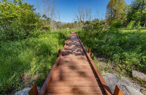 The Rushes - Foto 71