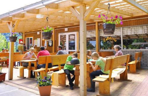 Haflinger Reiterhof Meura - Foto 11