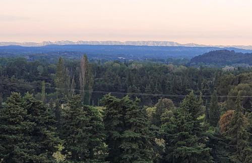 Mas du Tilleul - Foto 37