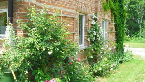 Ferienwohnung Stolz G - Foto 2