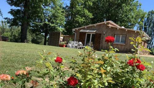 La Grenouillère - Foto 1