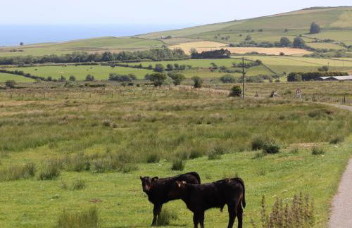 Cwm Ceiliog Annex - Photo 40