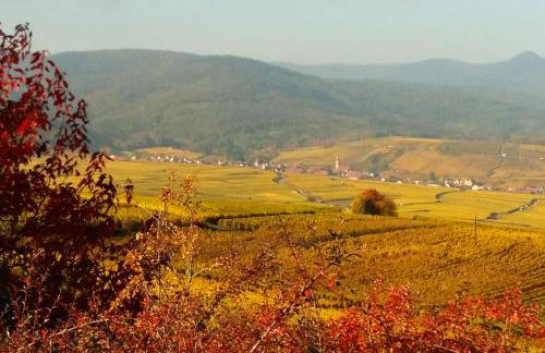 Au coeur de l'Alsace - Gîtes - Photo 44