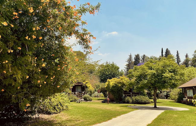 Nofey Habashan - Foto 79