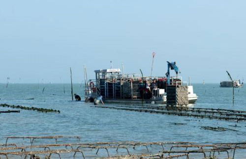 Appt confort avec terrasse au calme à Fouras! - Foto 24