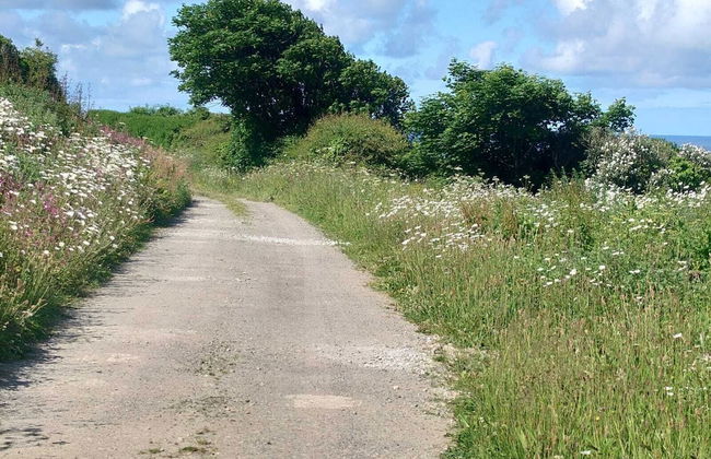 Watergate Lane Hideout - Foto 28