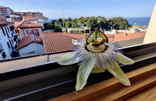 Apartamentos Mundaka Surf Camp - Foto 38