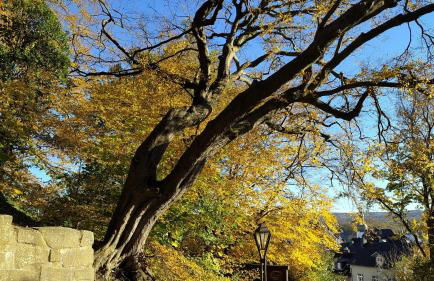 Panoramahaus Sauerland - Foto 28