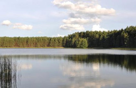 Wczasy na Kaszubach, balia, sauna, jezioro - Foto 9