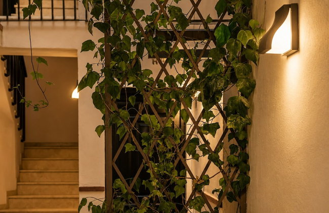 Casa Lavanda by Blossom Hotels - Foto 111