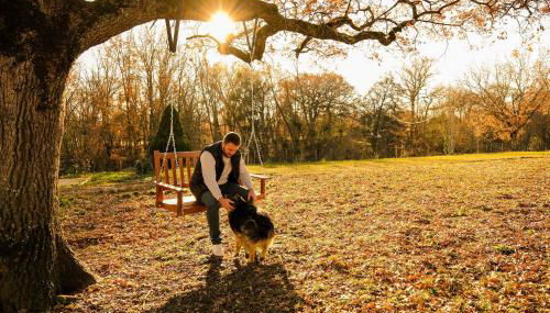 Homnest - Clairiere des Animaux - 1h de Toulouse - Foto 4