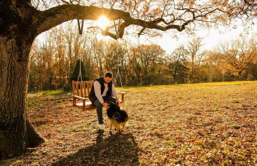 Homnest - Clairiere des Animaux - 1h de Toulouse - Photo 4