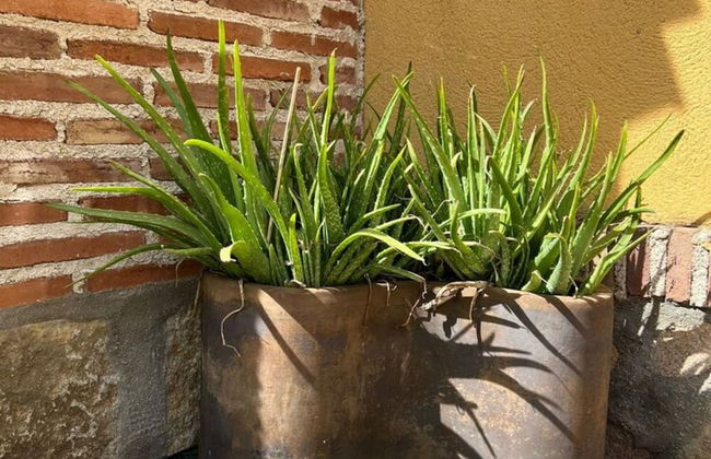 Belvilla by OYO Single Chalet en La Adrada - Foto 52