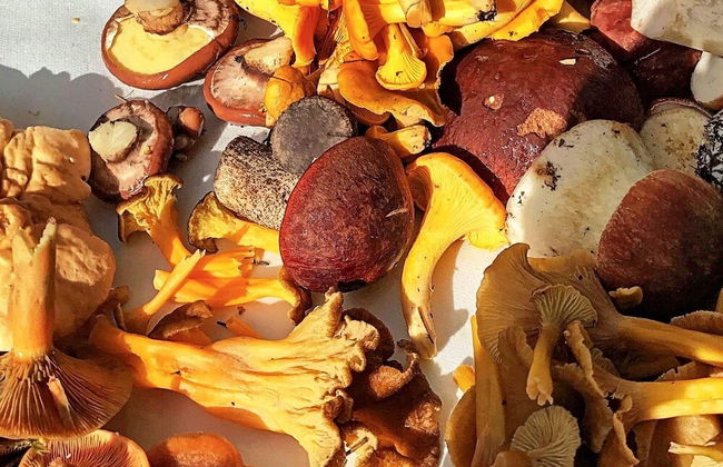 3 Person Holiday Home in Hok - Photo 12