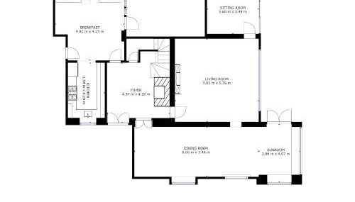 Snow Goose - Foto 3, Other