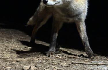 Casa Rural Campanilla - Foto 36