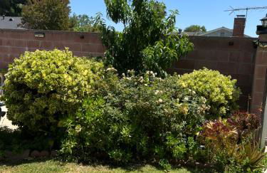 Just The Two Of Us -Romantic Pool View And Private Entry Sleeps 2 Near CSUN CSUN - Foto 23