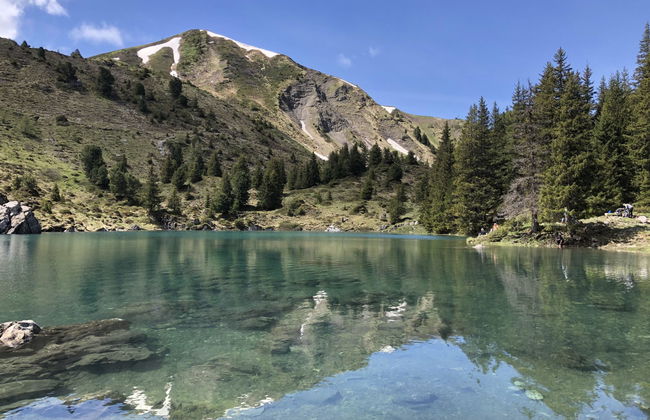 Sunnegruess - Foto 19