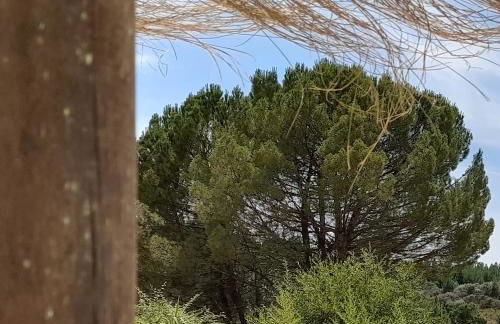 Monte das Rolas - A Serenidade mora Aqui! - Foto 17