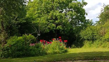 Sundial Cottage - Foto 4