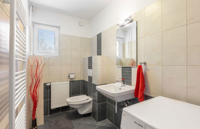 Desná v Jizerských horách - Foto 24