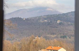 Alma botanic house - Foto 25