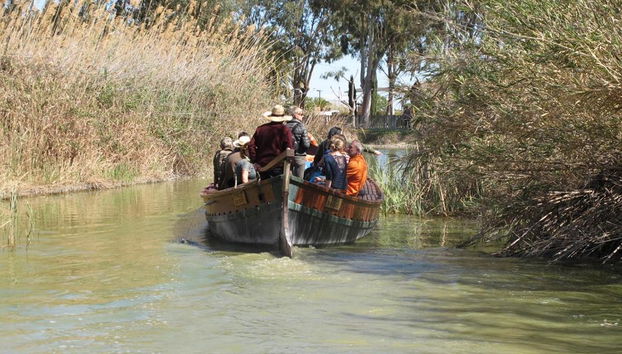 Albufera touristic bus and boat ride - Photo 4