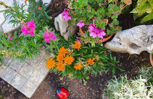 Apartments Olivia & Navy, Šilo - Photo 40