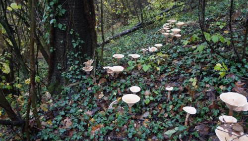 A great escape - Foto 3