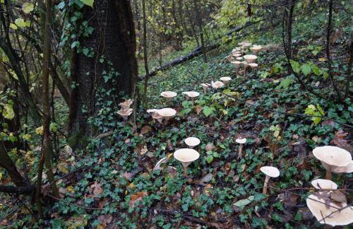 A great escape - Foto 3