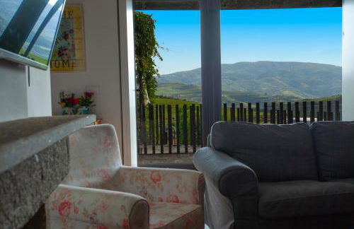 Quinta da Pitarrela - Foto 45