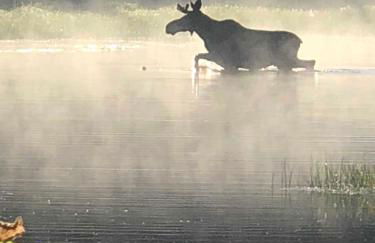 Upscale Moosehead lake Suite downtown Greenville - Foto 28