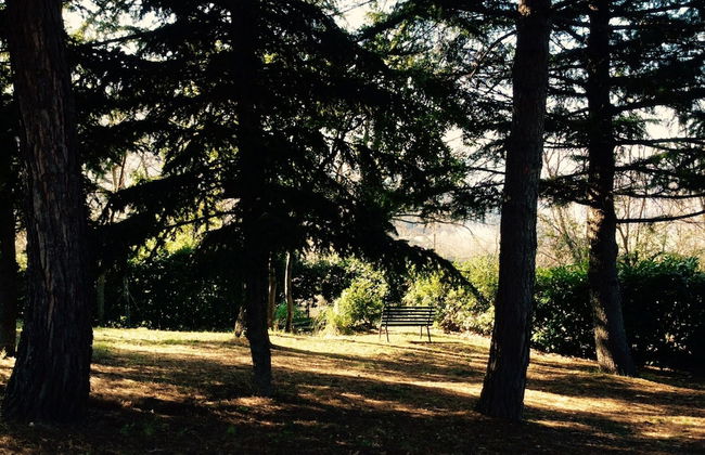 Cottage in Montefiore Near Forest and Beach - Photo 23