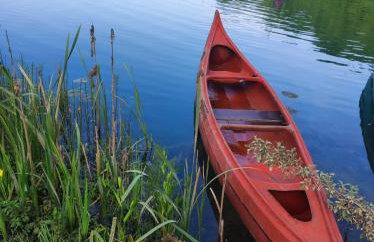 Holiday home Mrežnički šum - Foto 15