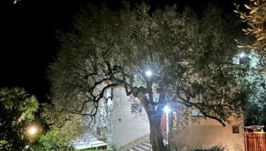 La Casa del Maestro Attico - Photo 5